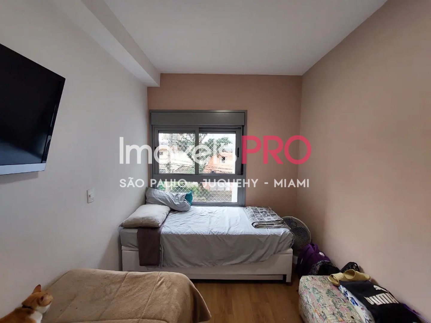 Foto :: IP39624
