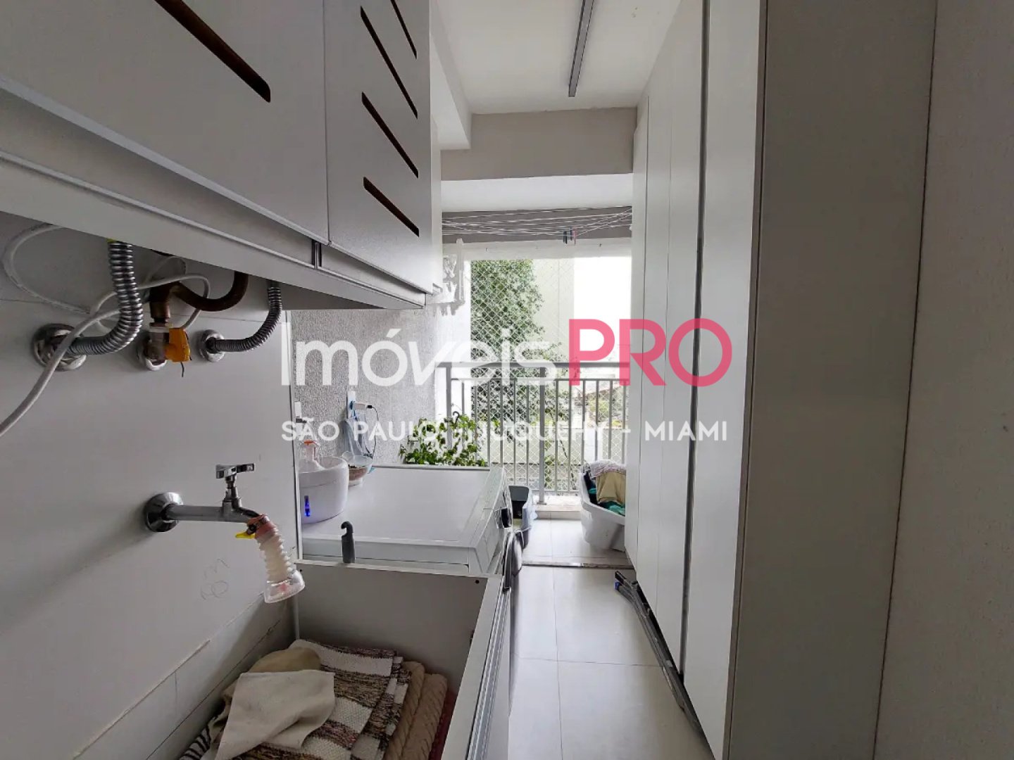 Foto :: IP39624