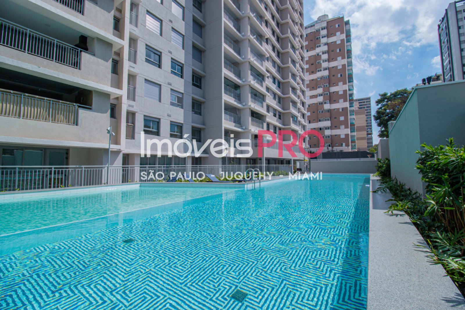 Foto :: IP39624