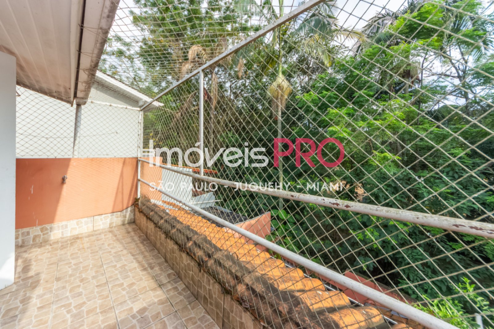 Foto :: IP39625