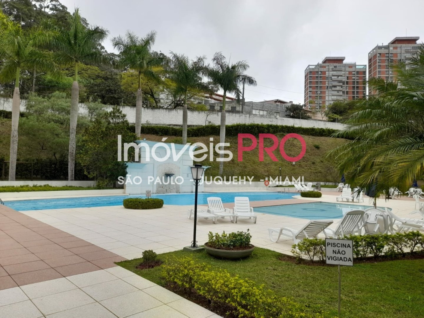 Foto :: IP39628