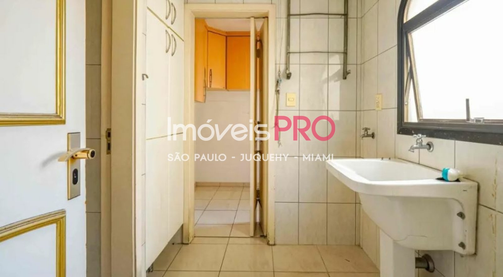 Foto :: IP39633