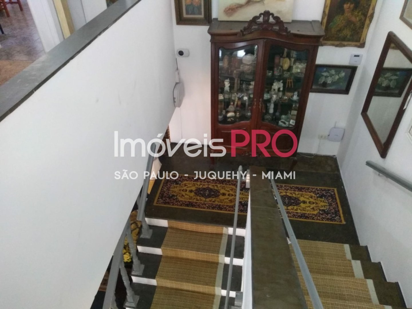 Foto :: IP39637