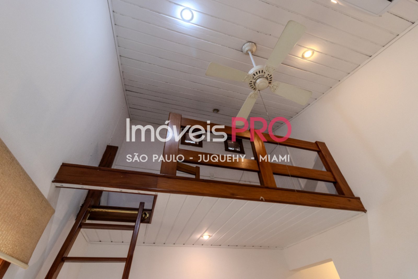Foto :: IP39638