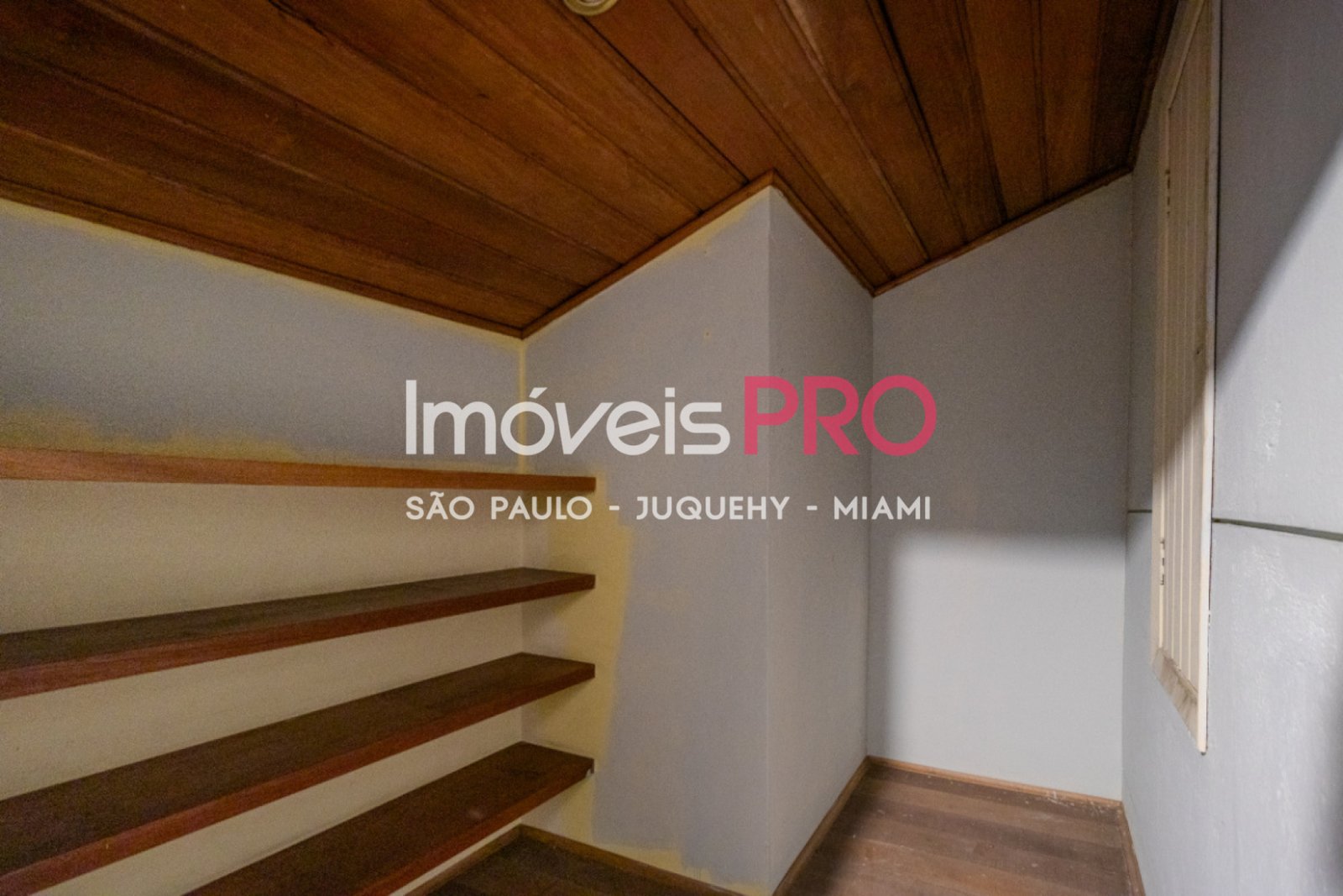 Foto :: IP39638