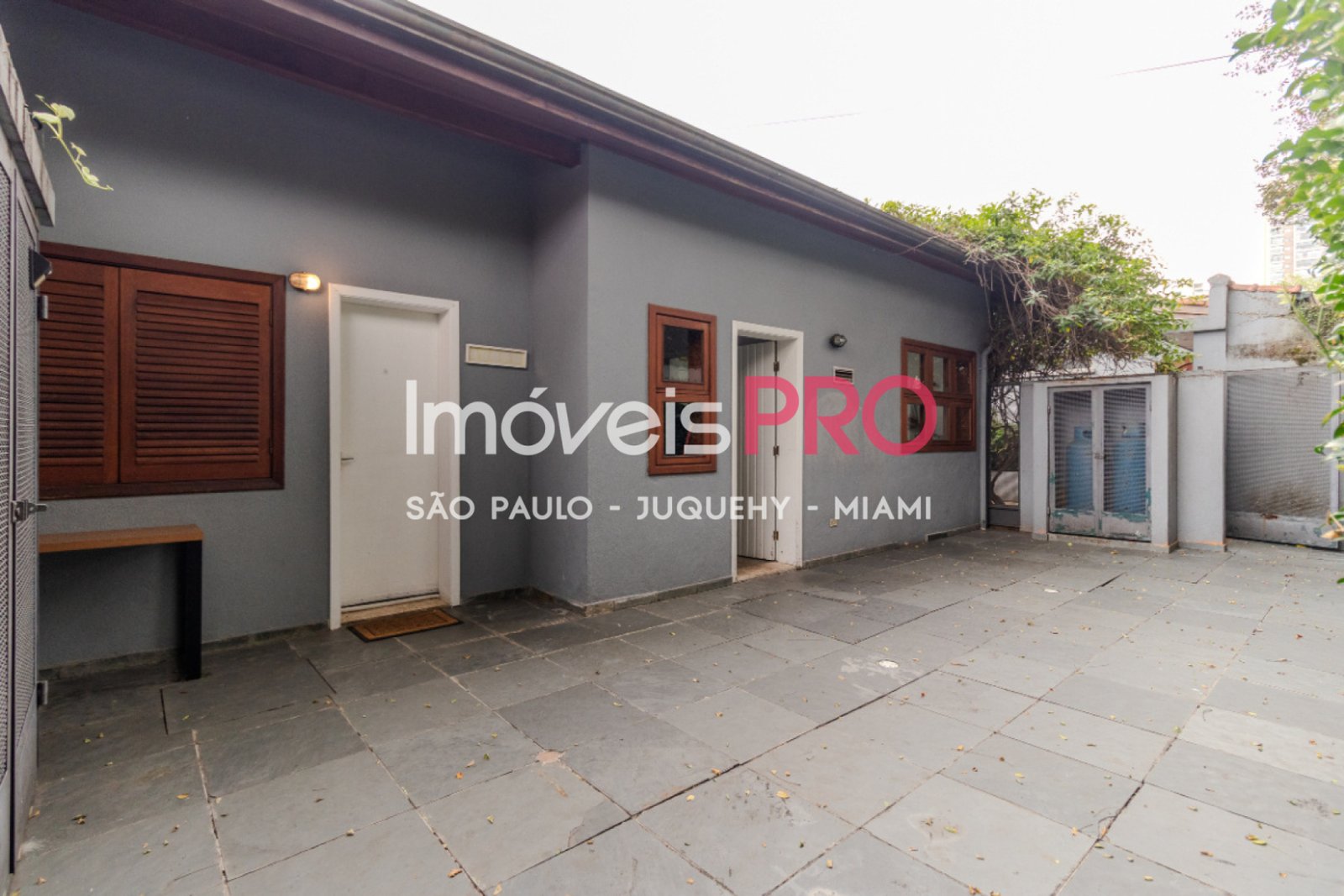 Foto :: IP39638