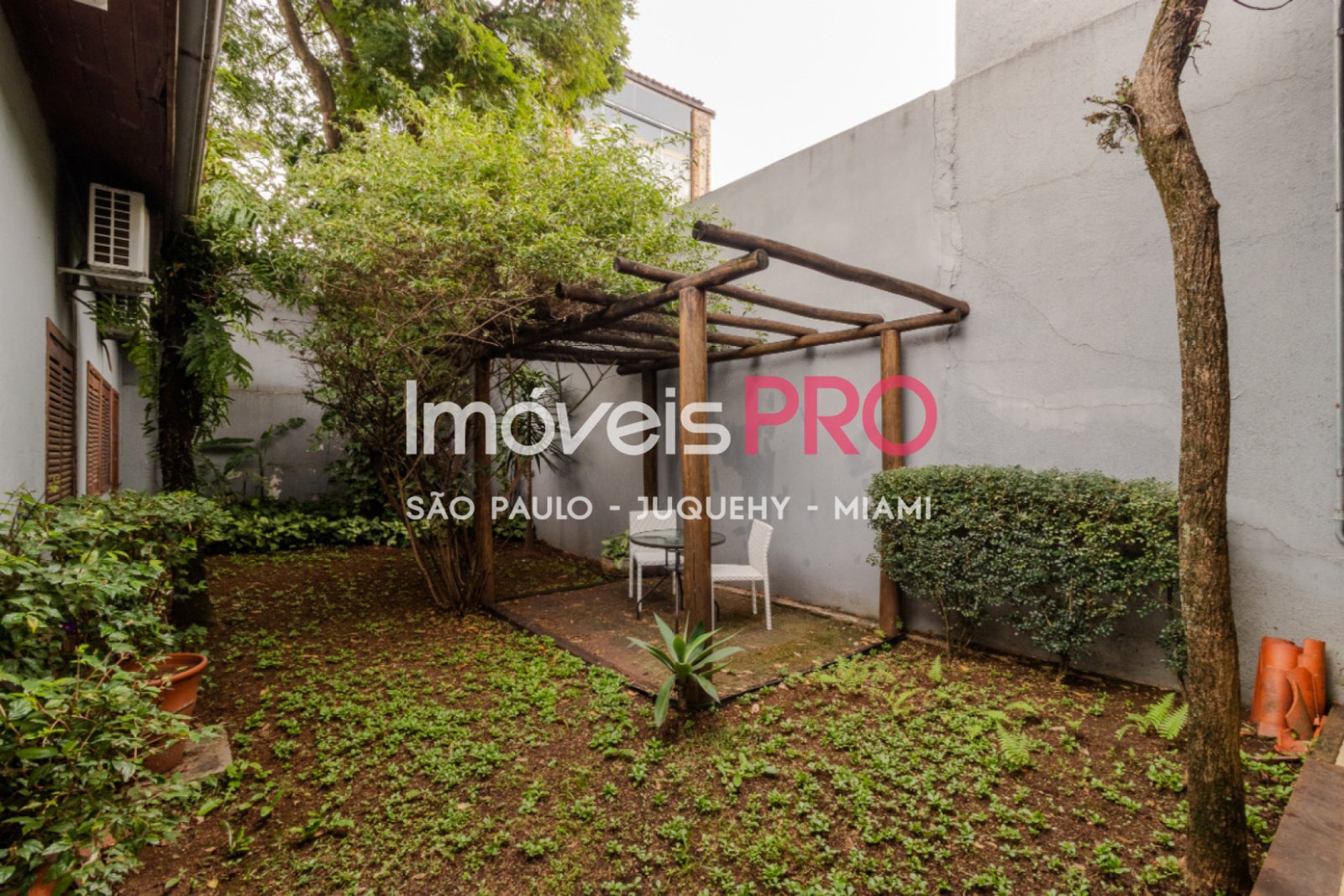 Foto :: IP39638