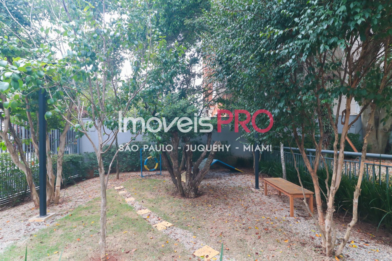 Foto :: IP39642