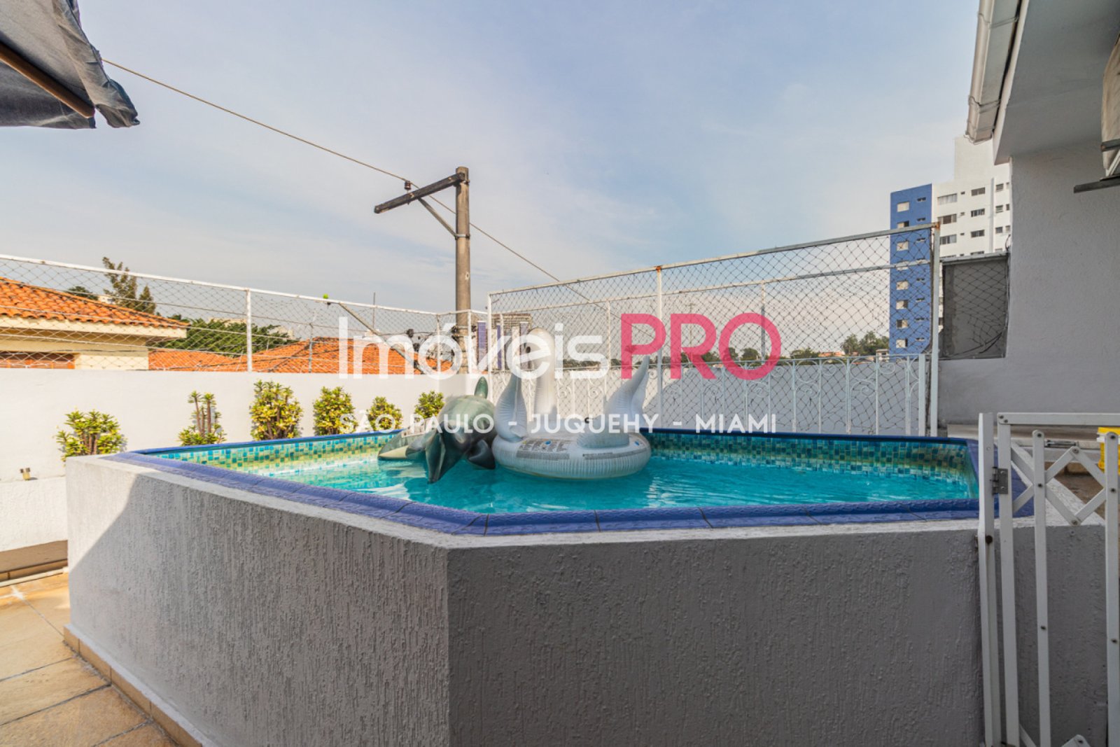 Foto :: IP39645
