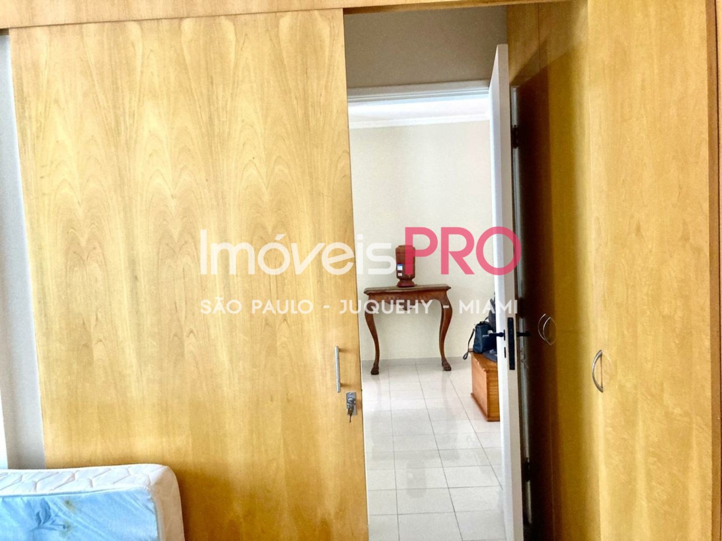 Foto :: IP39646