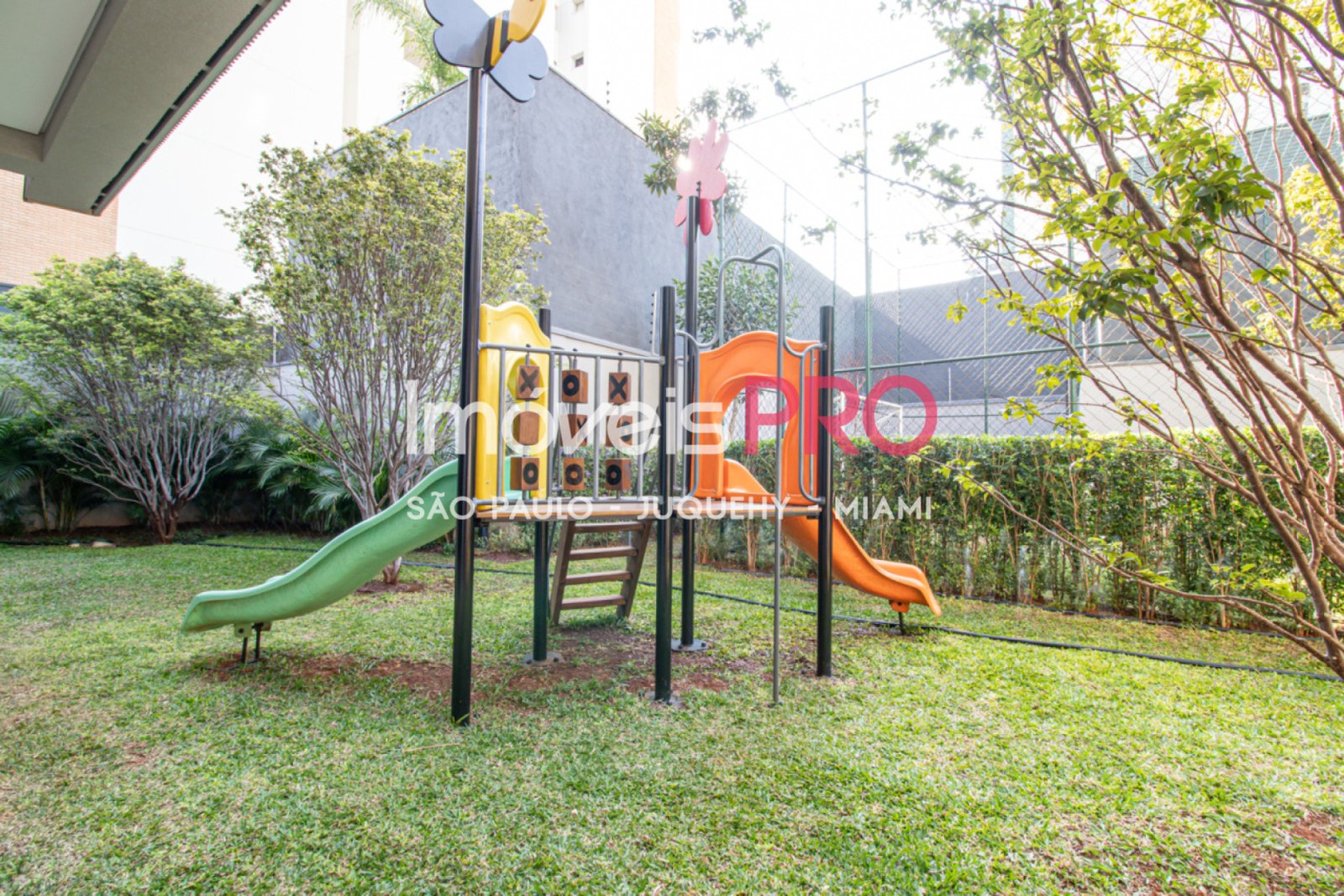 Foto :: IP39652