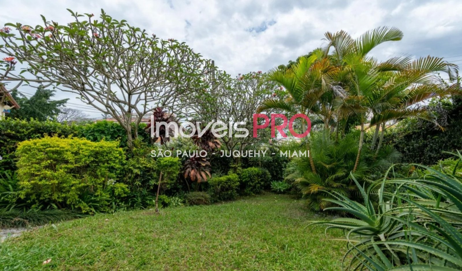 Foto :: IP39657