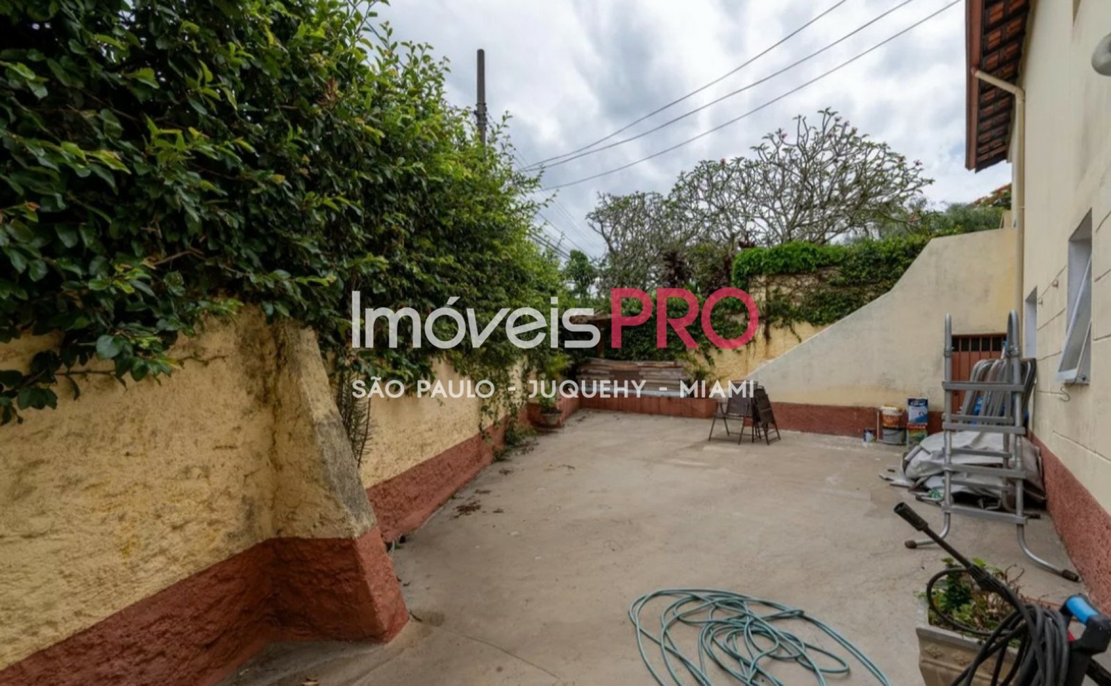 Foto :: IP39657