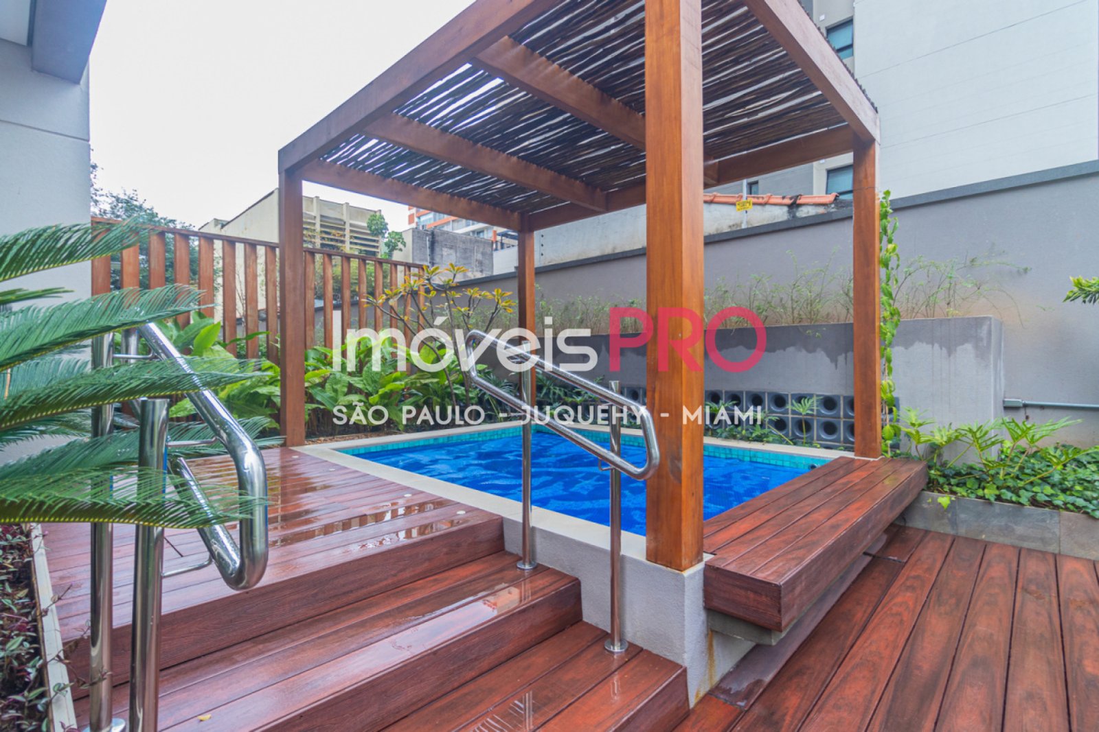 Foto :: IP39659
