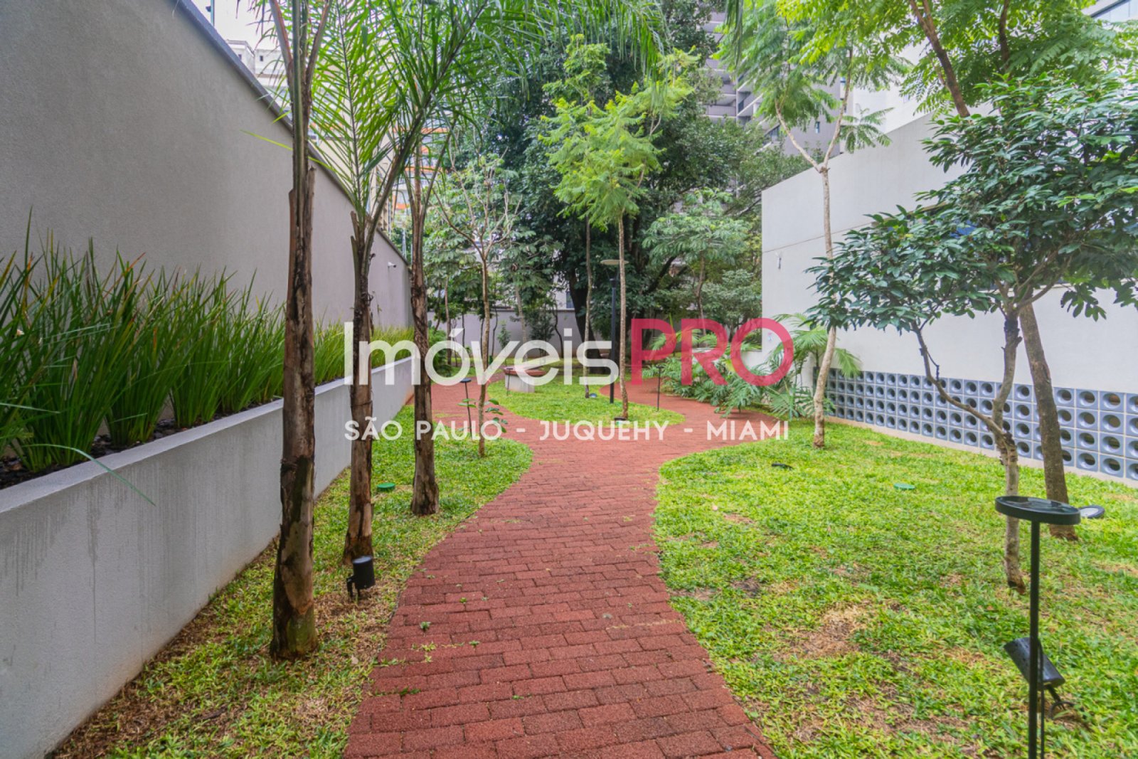 Foto :: IP39659