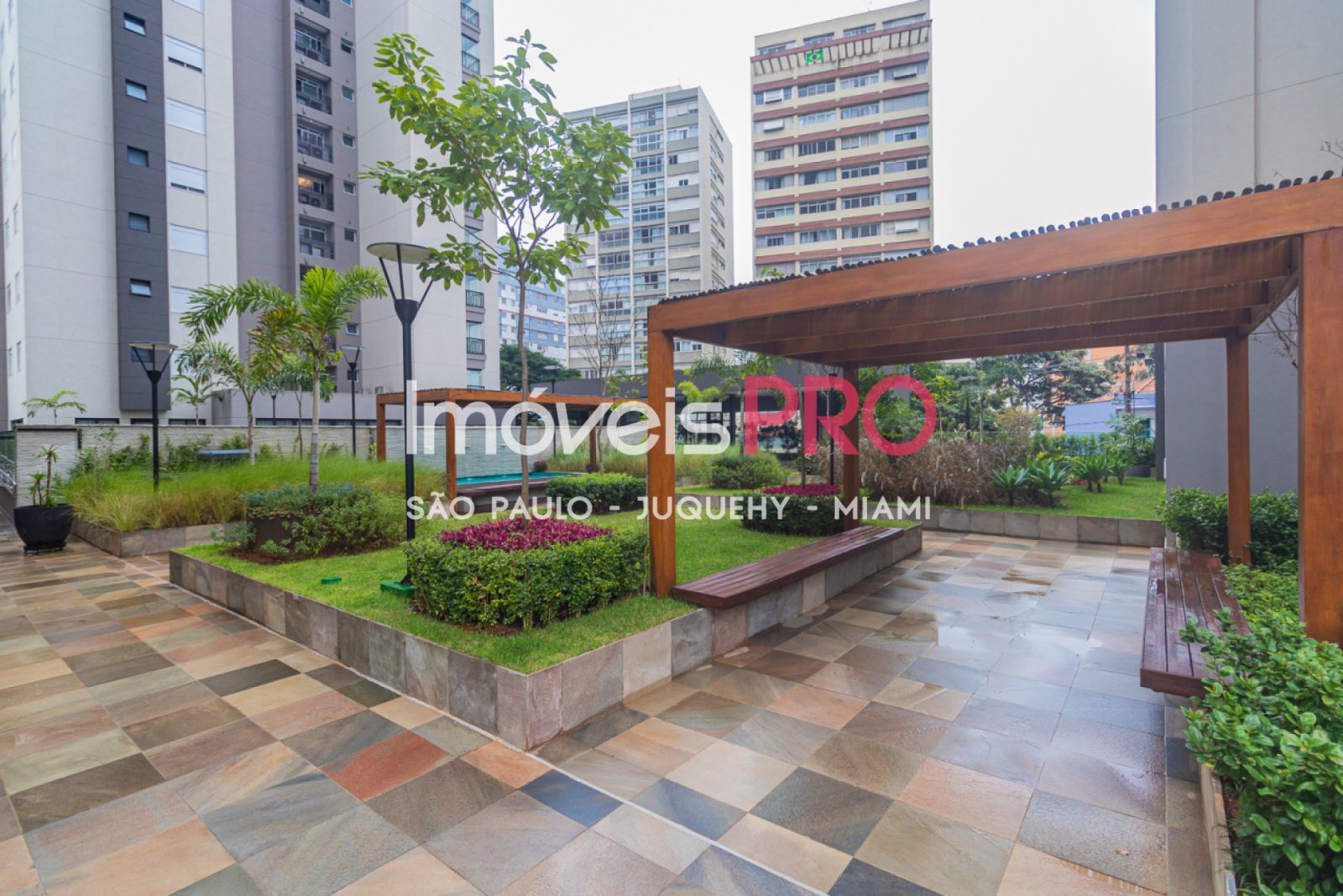 Foto :: IP39659