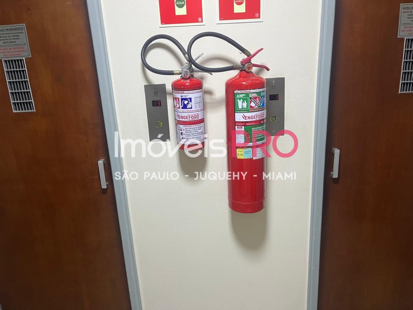 Foto :: IP39663