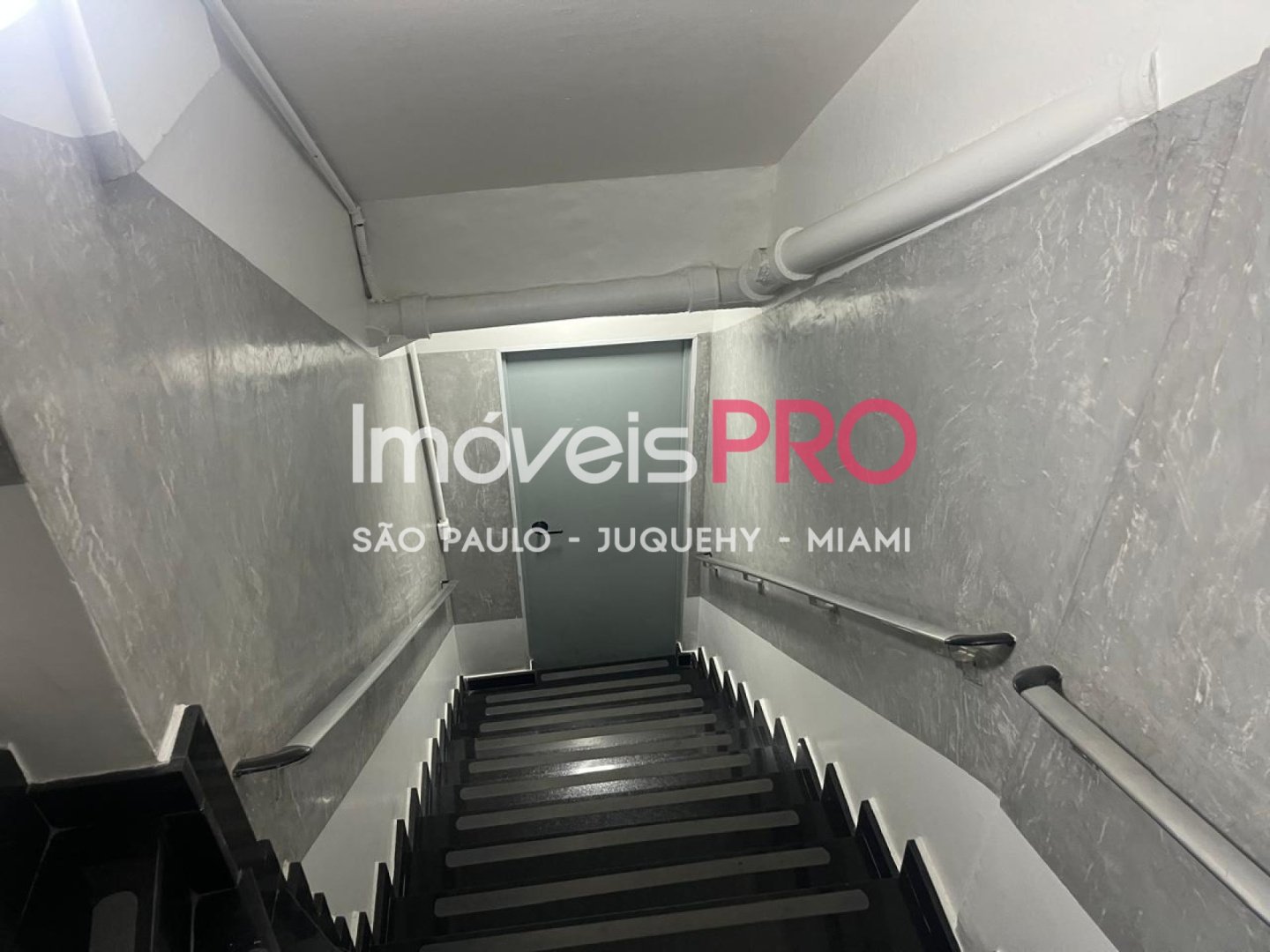 Foto :: IP39663
