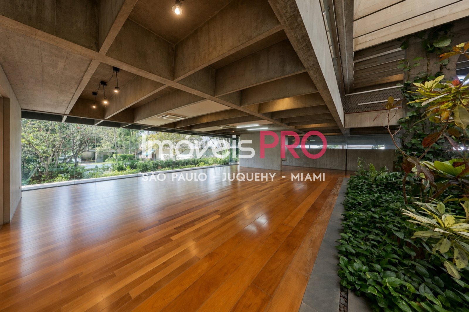 Foto :: IP39667