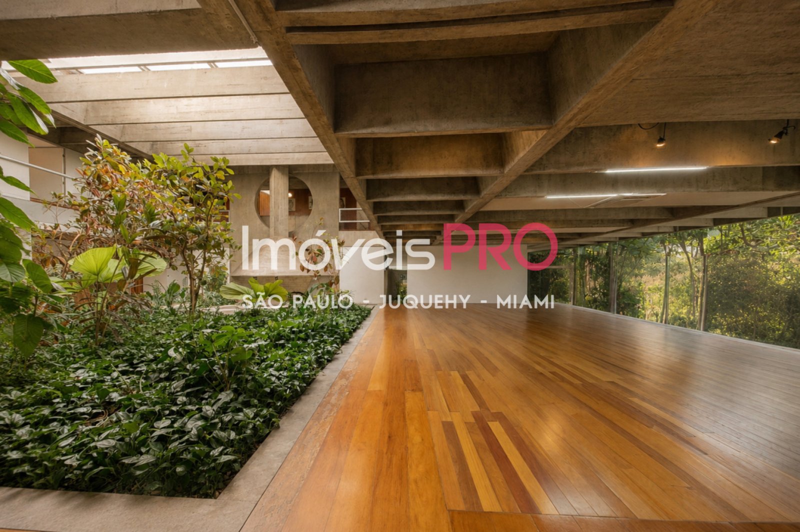 Foto :: IP39667