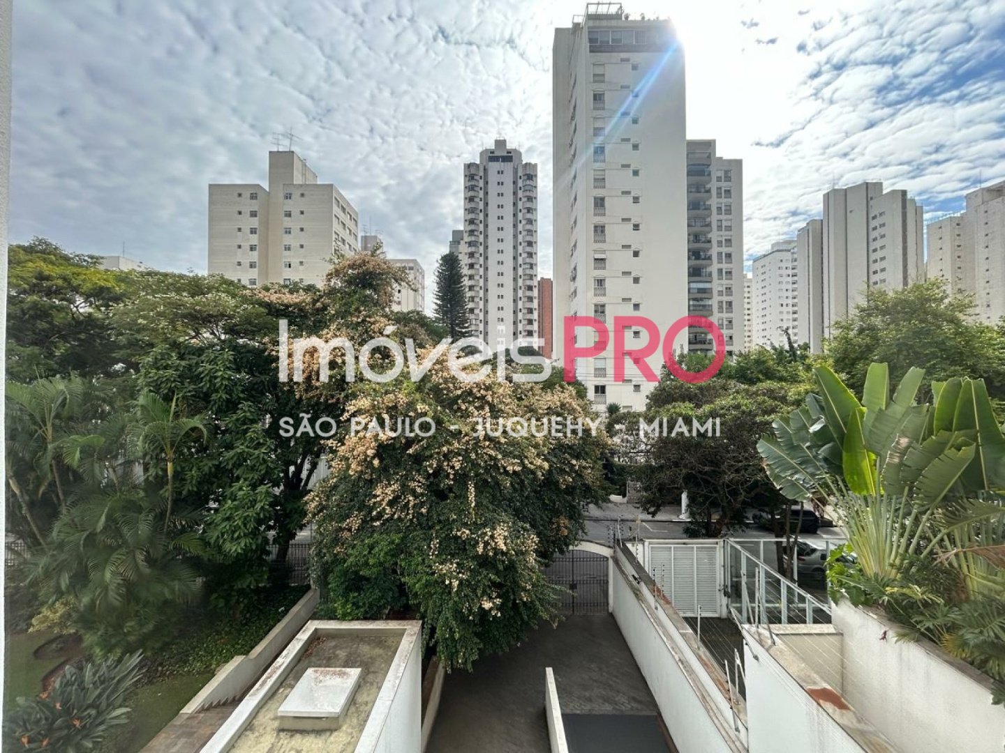 Foto :: IP39668