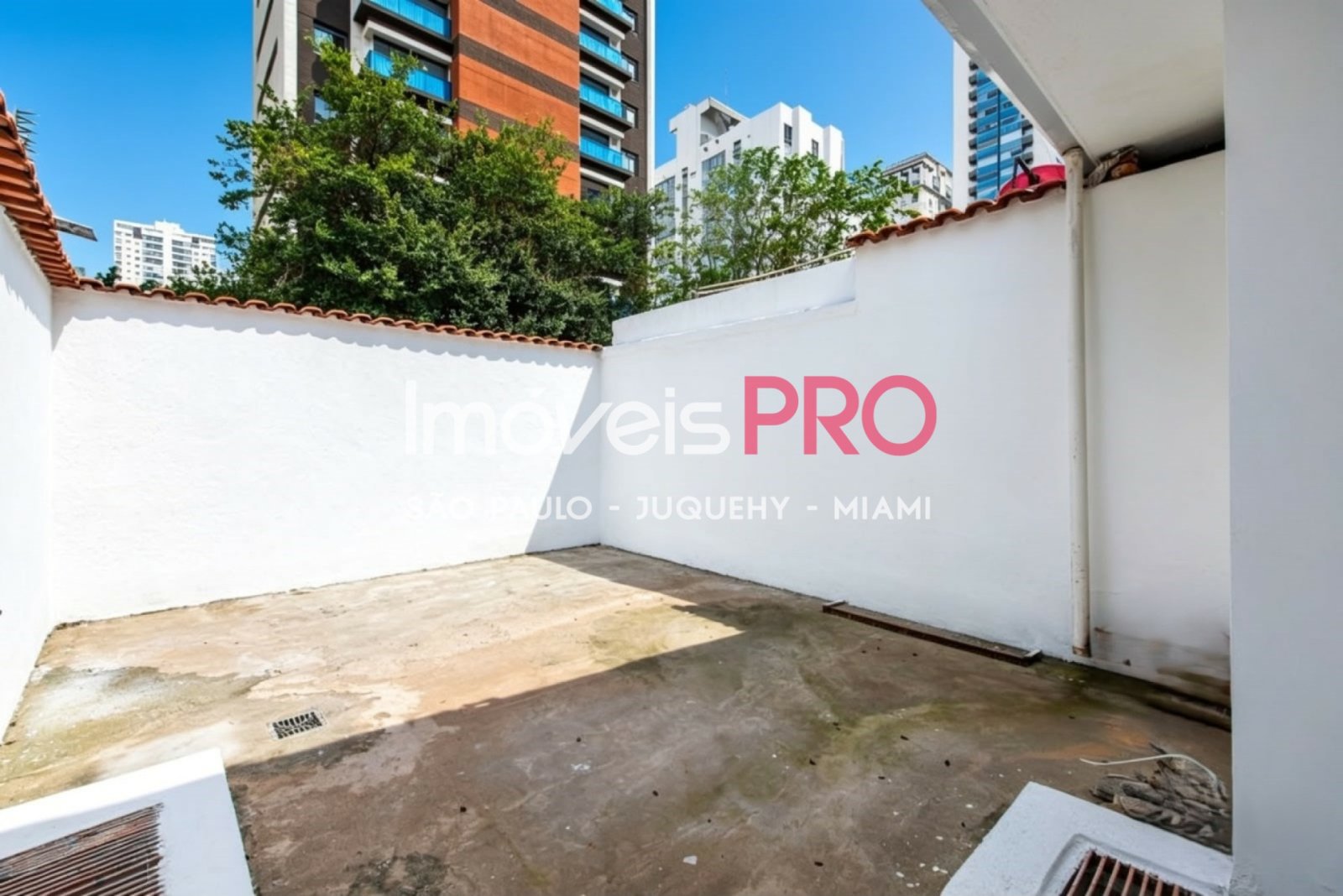 Foto :: IP39671