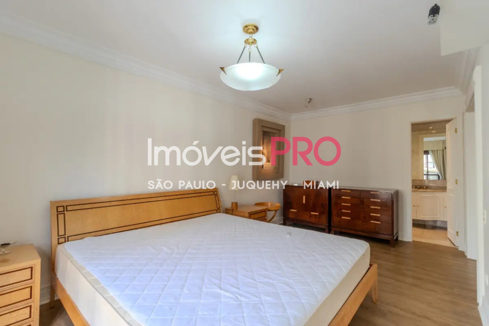 Foto :: IP39672