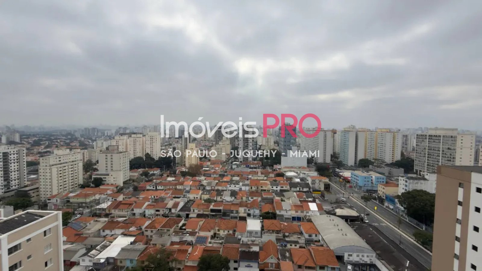 Foto :: IP39675