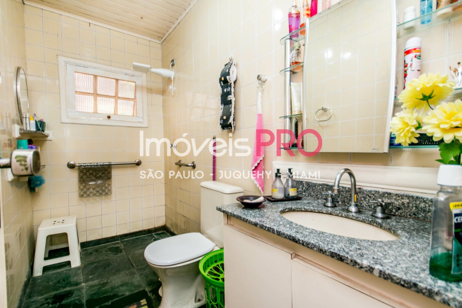Foto :: IP39683