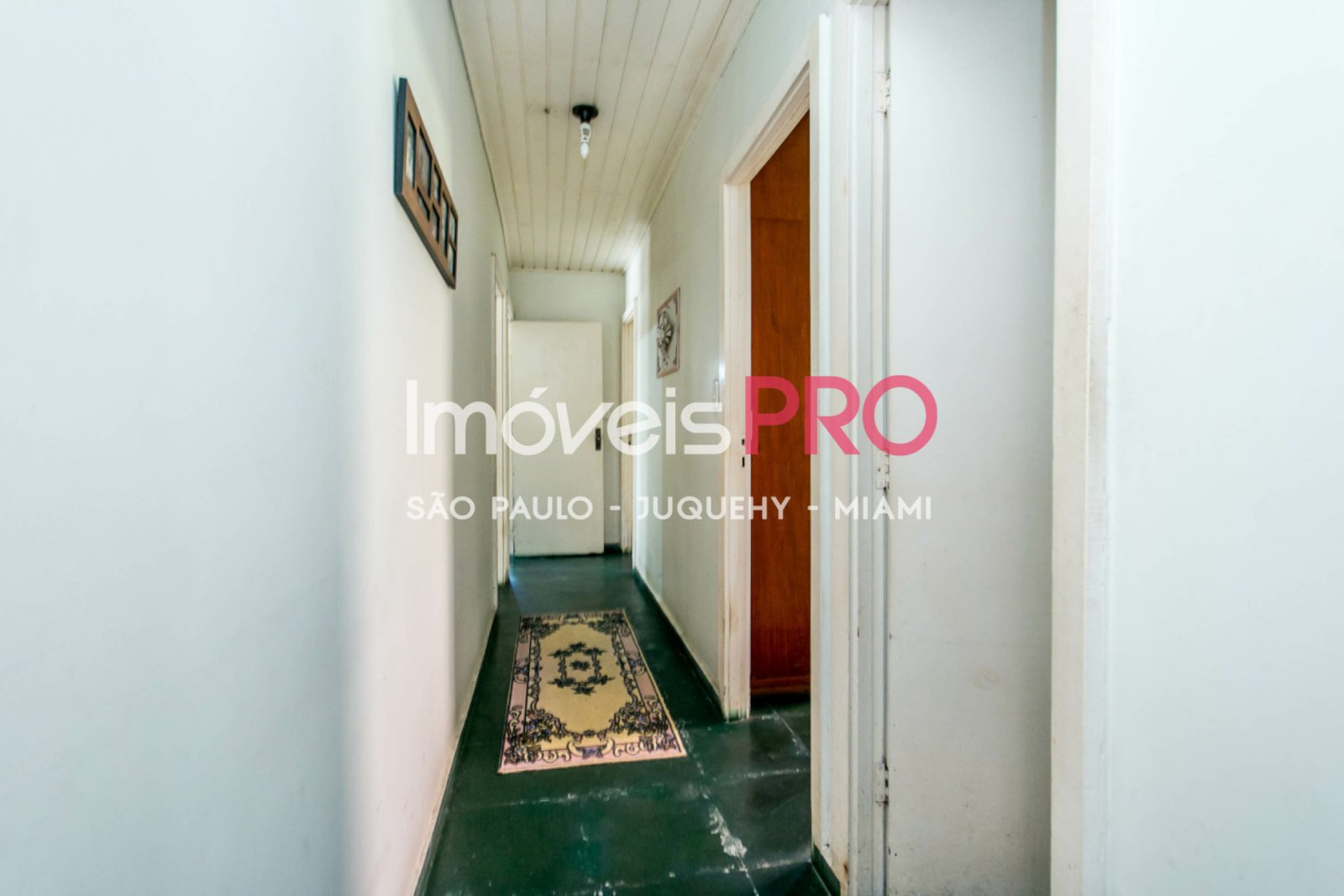 Foto :: IP39683