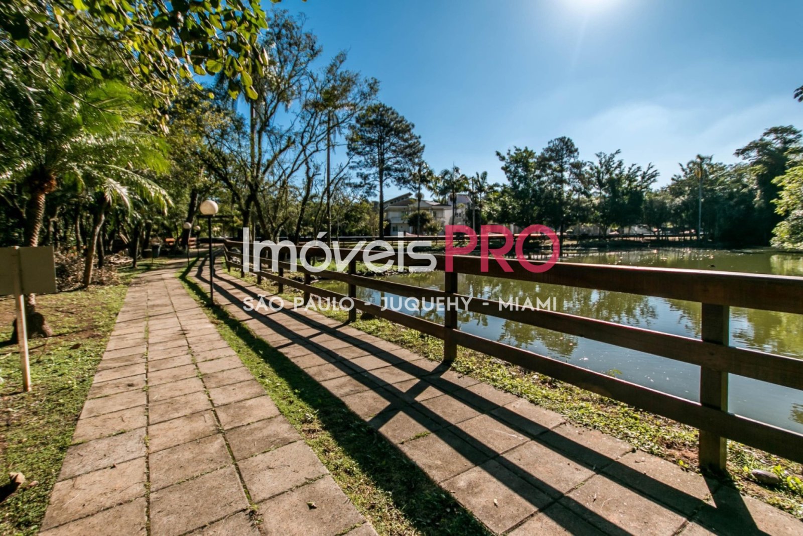 Foto :: IP39683