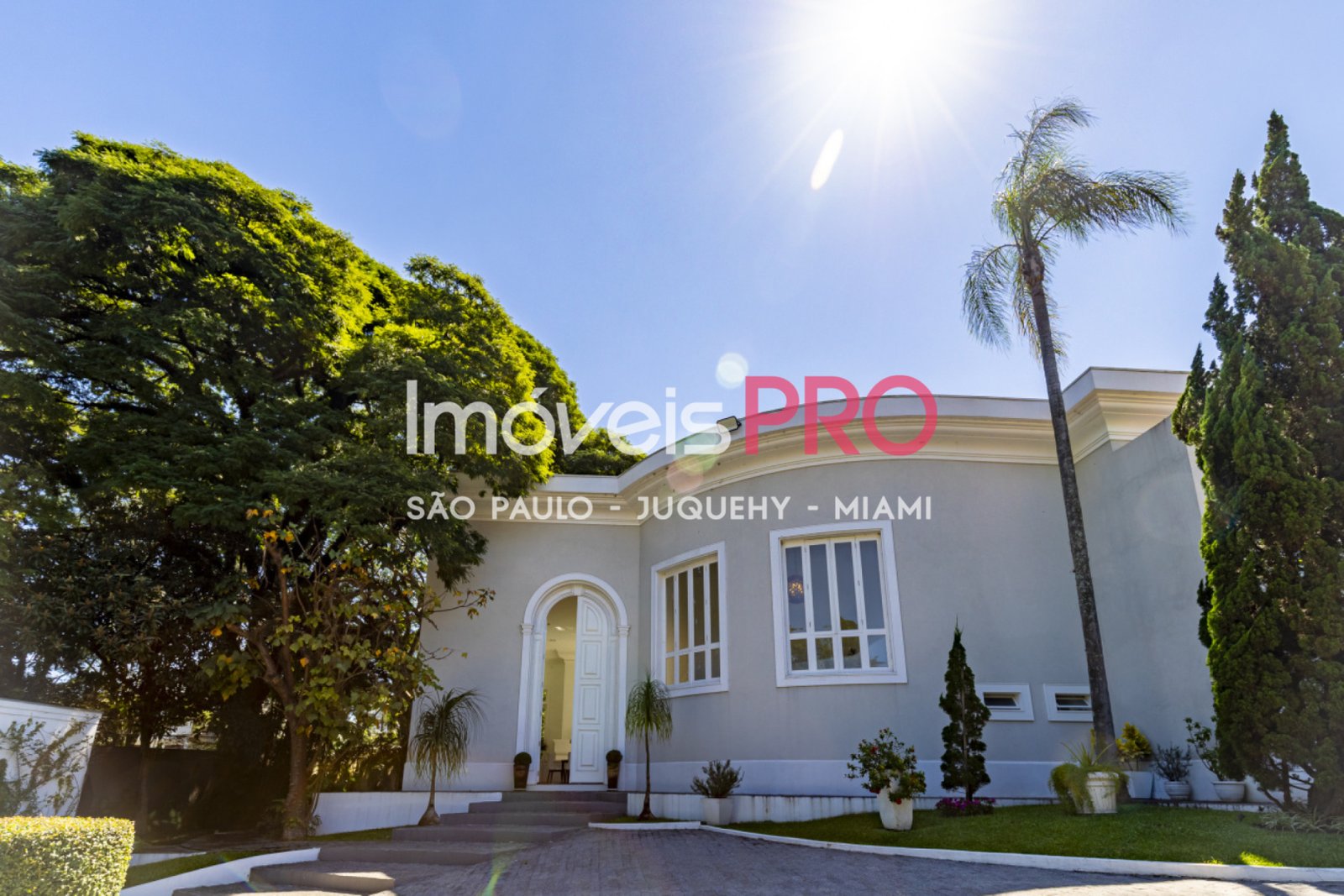 Foto :: IP39688