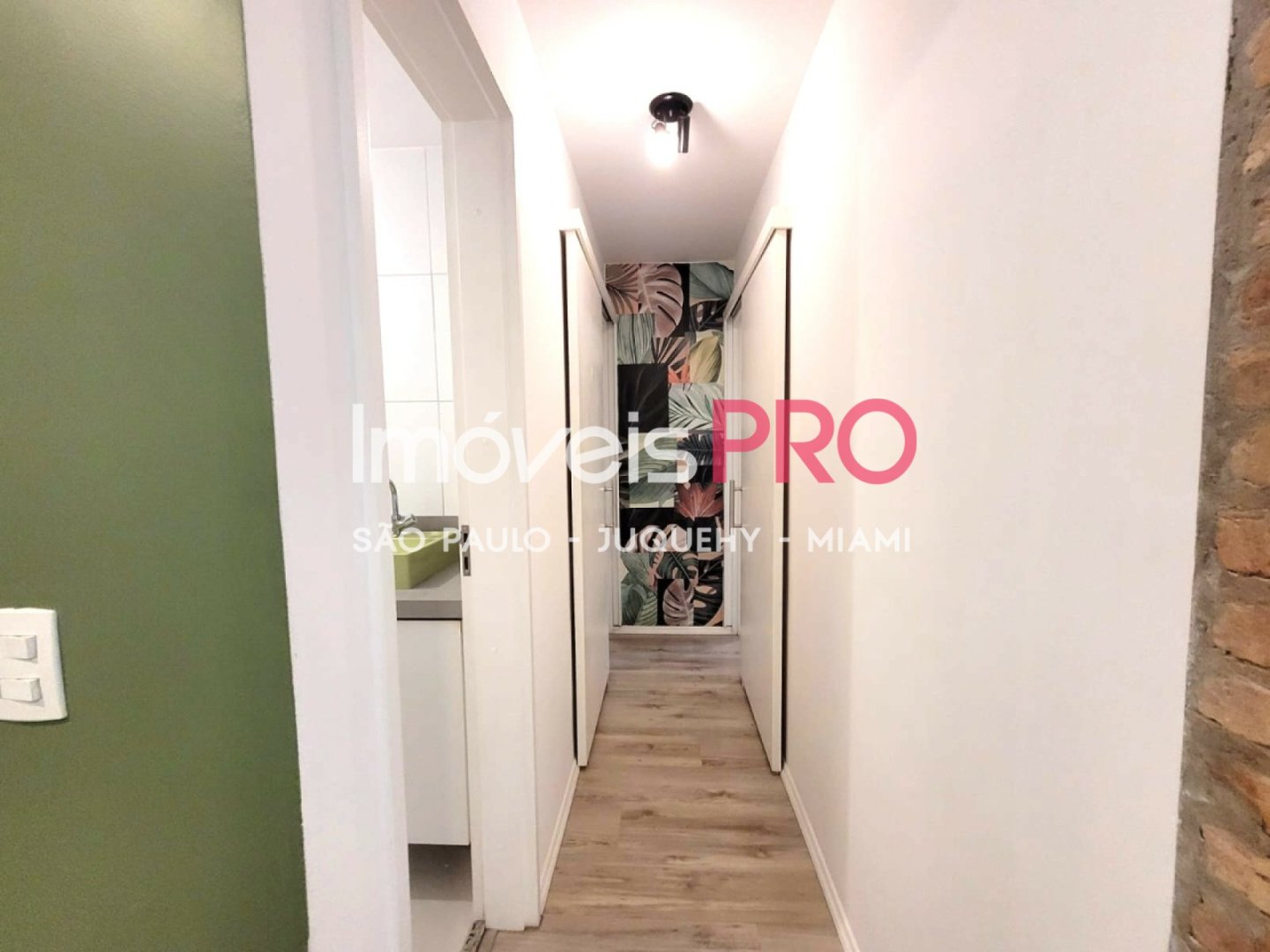 Foto :: IP39690