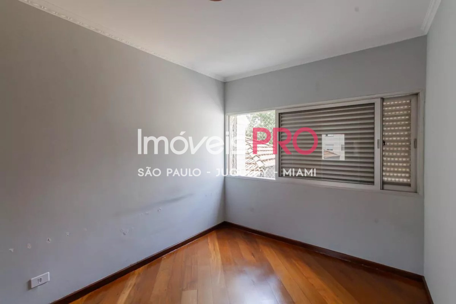 Foto :: IP39692