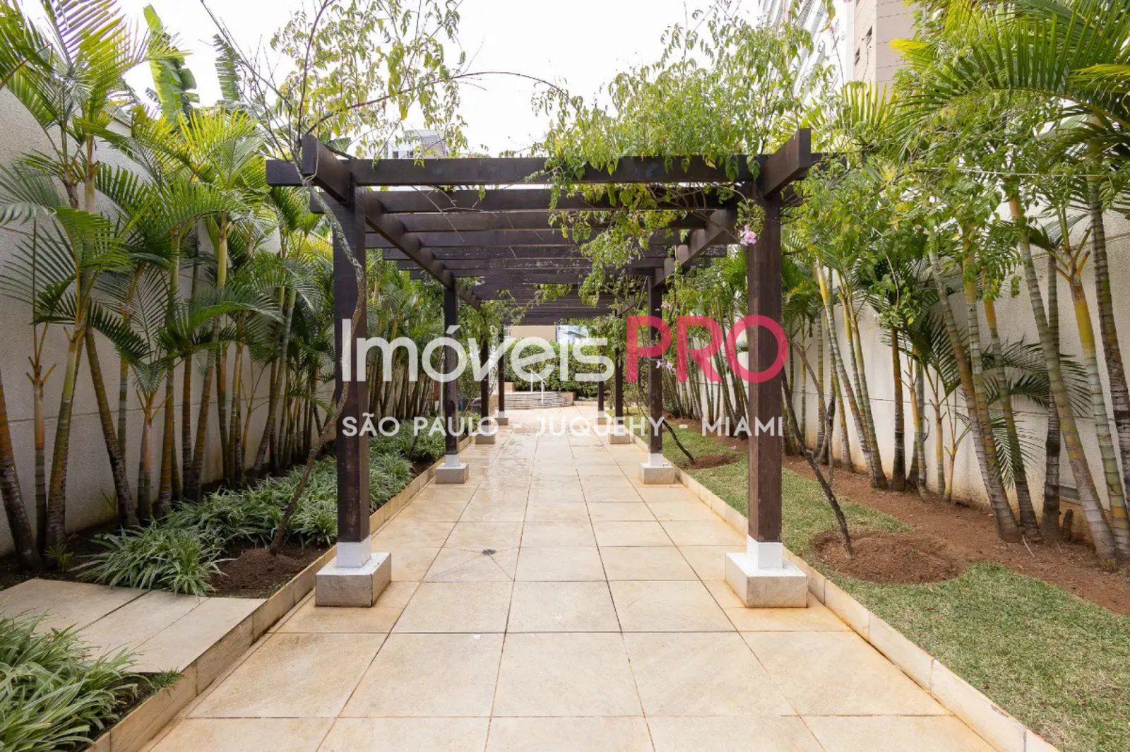 Foto :: IP39693
