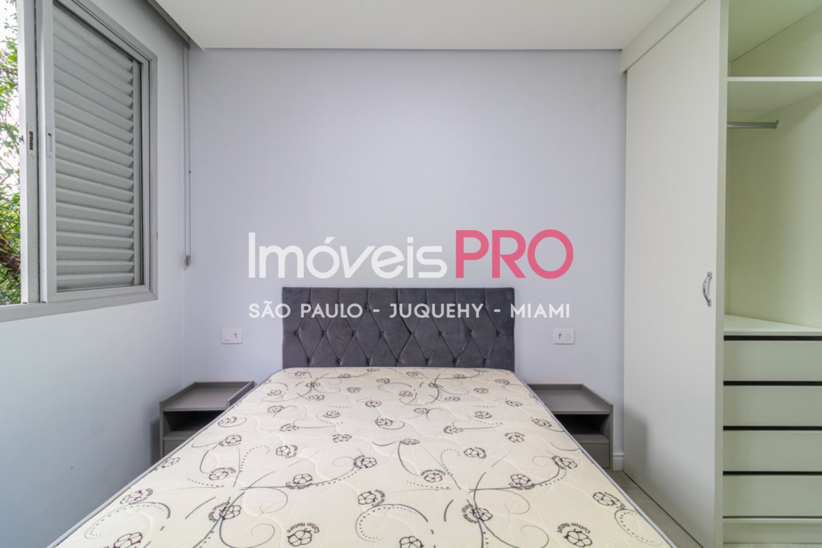 Foto :: IP39712