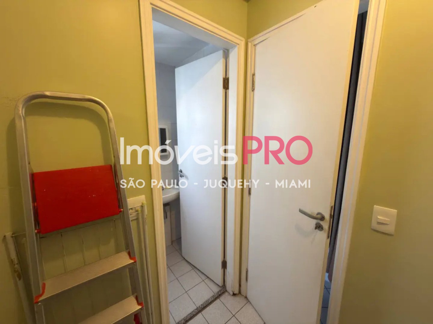 Foto :: IP39733