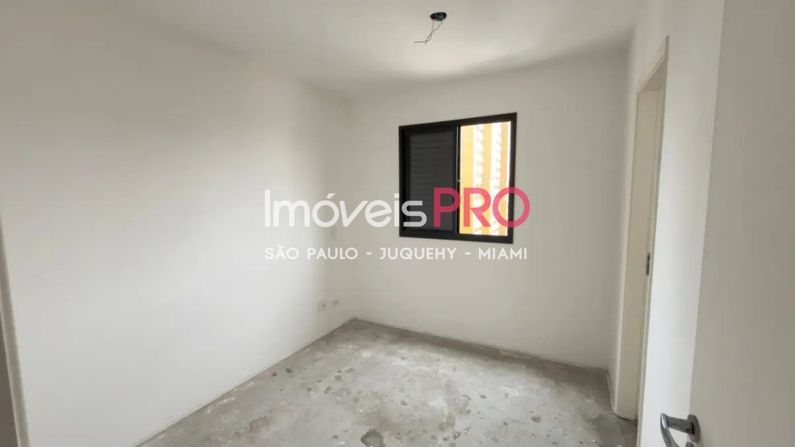 Foto :: IP39750