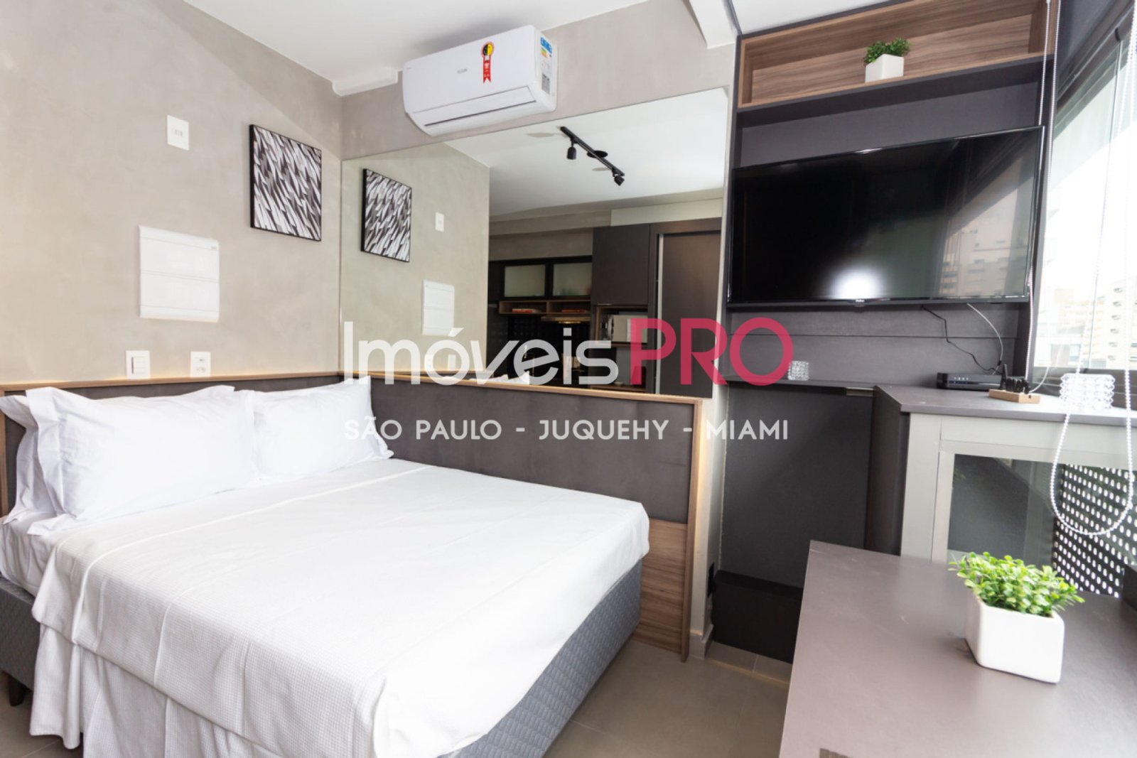 Foto :: IP39754