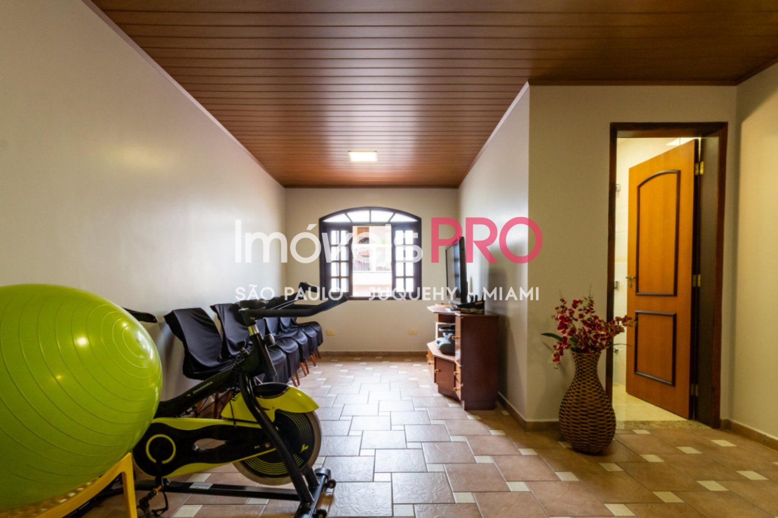 Foto :: IP39757