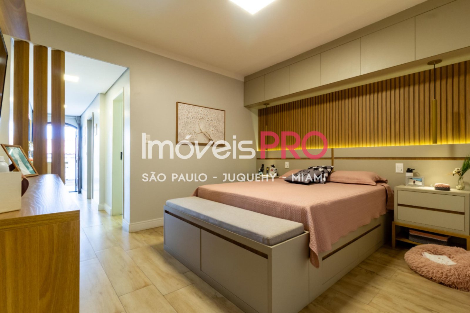 Foto :: IP39757
