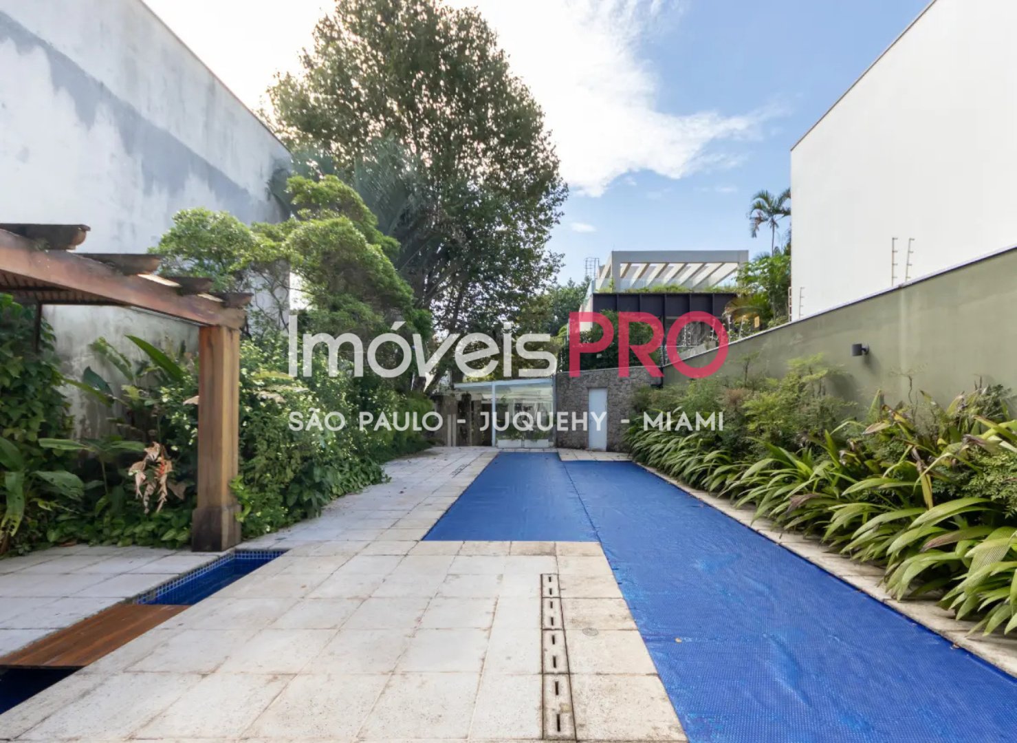 Foto :: IP39767