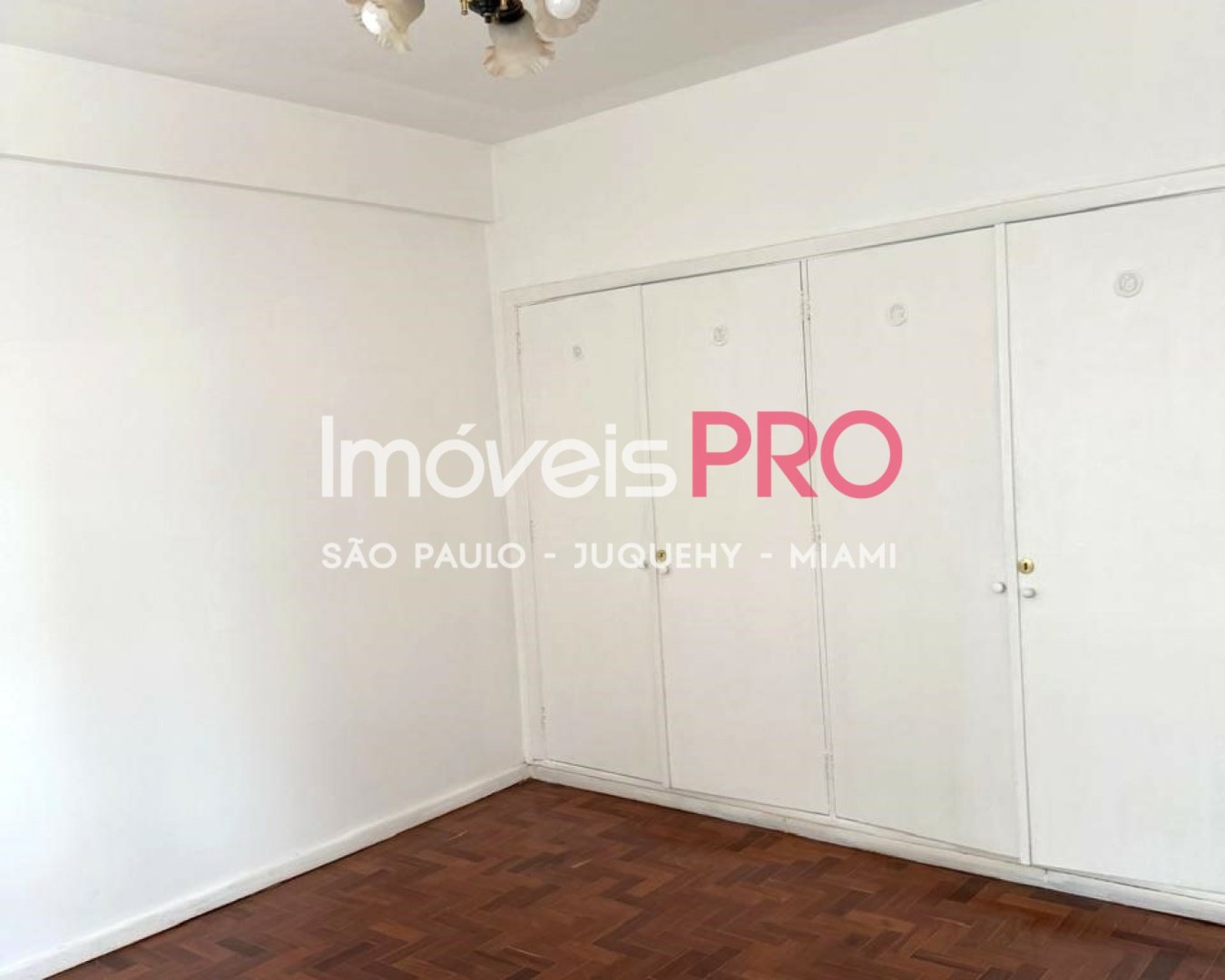 Foto :: IP39782