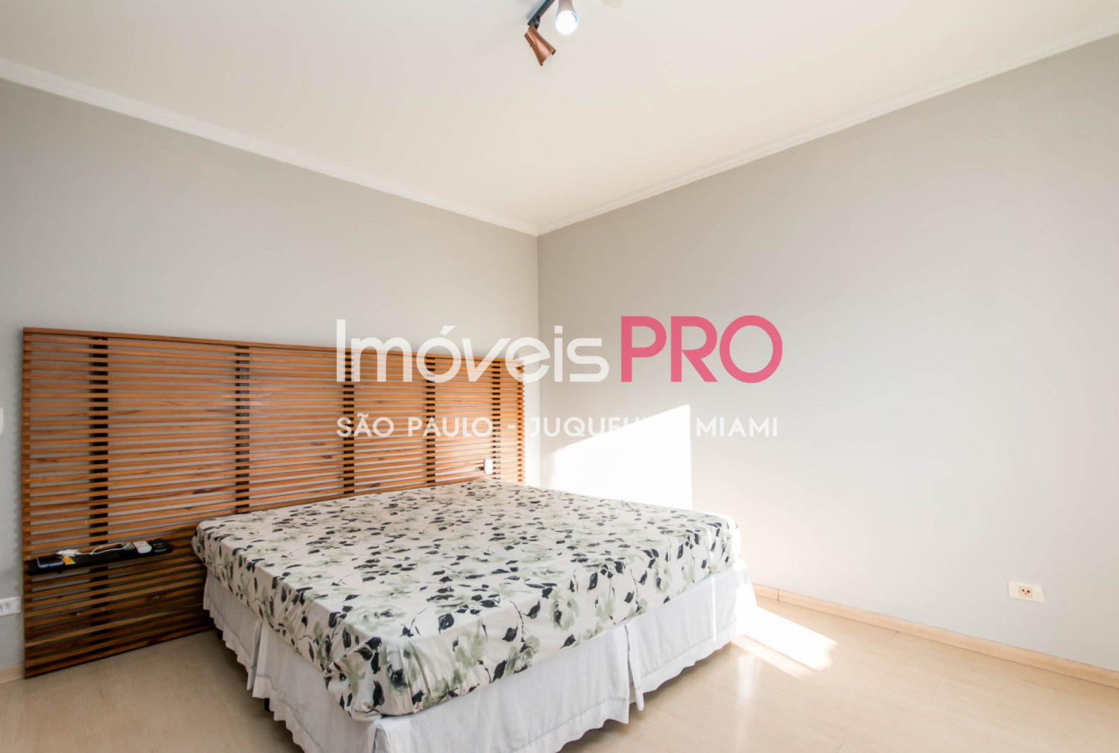 Foto :: IP39783