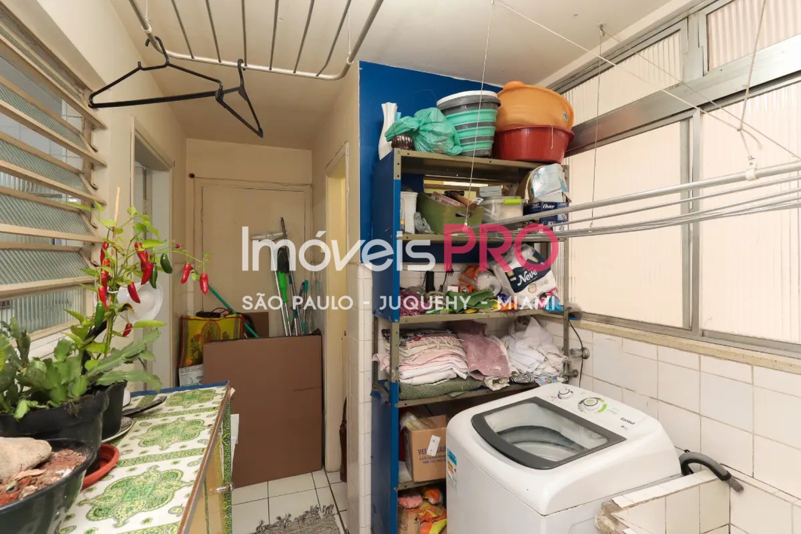 Foto :: IP39789
