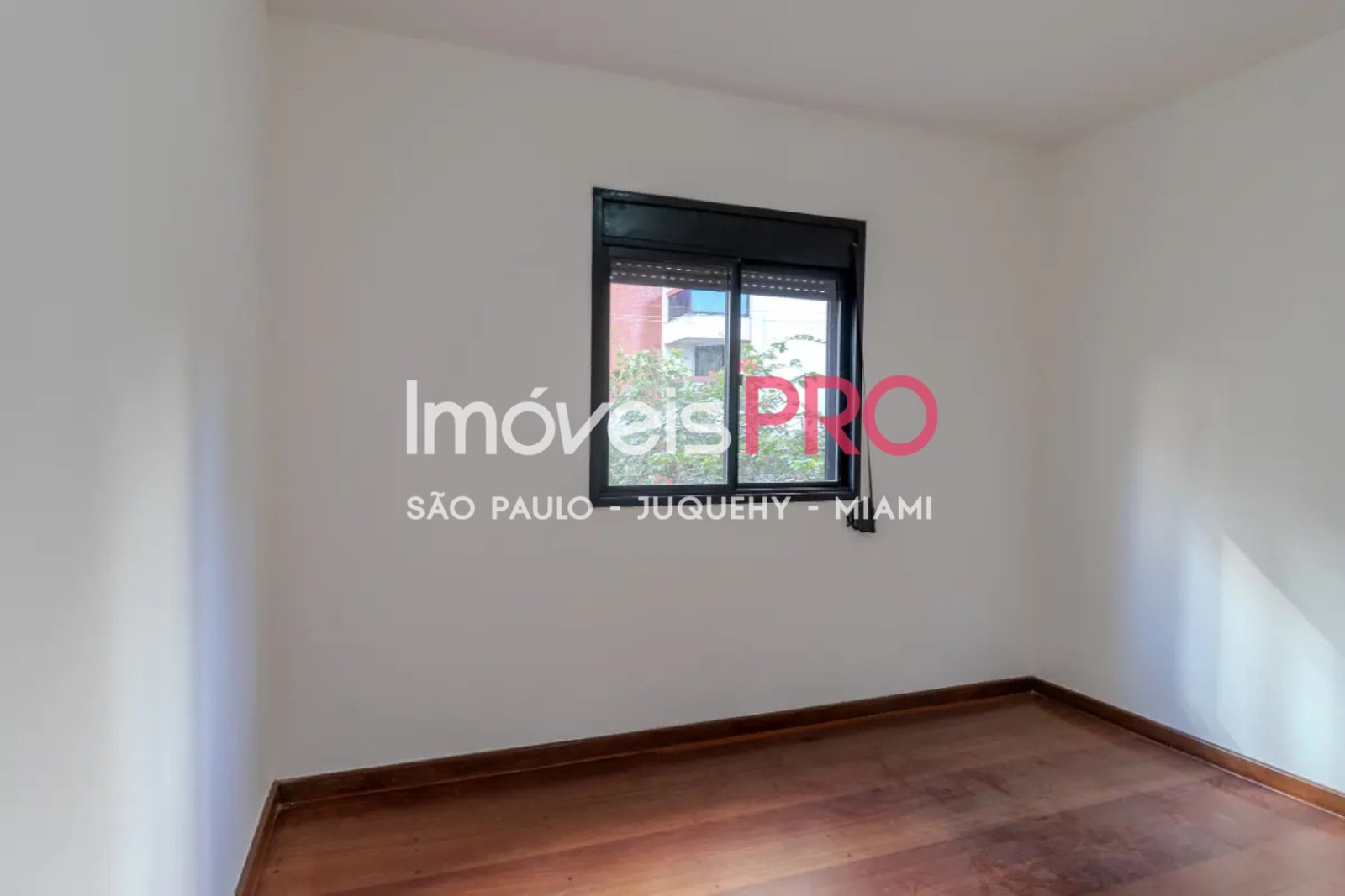 Foto :: IP39791