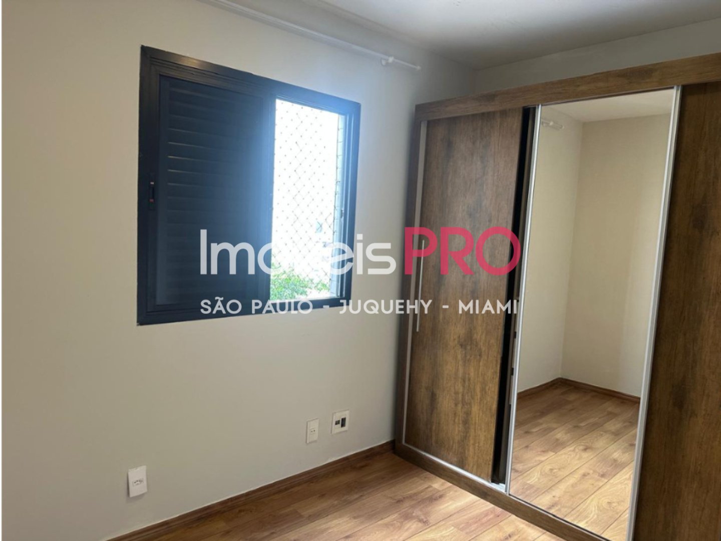Foto :: IP39840