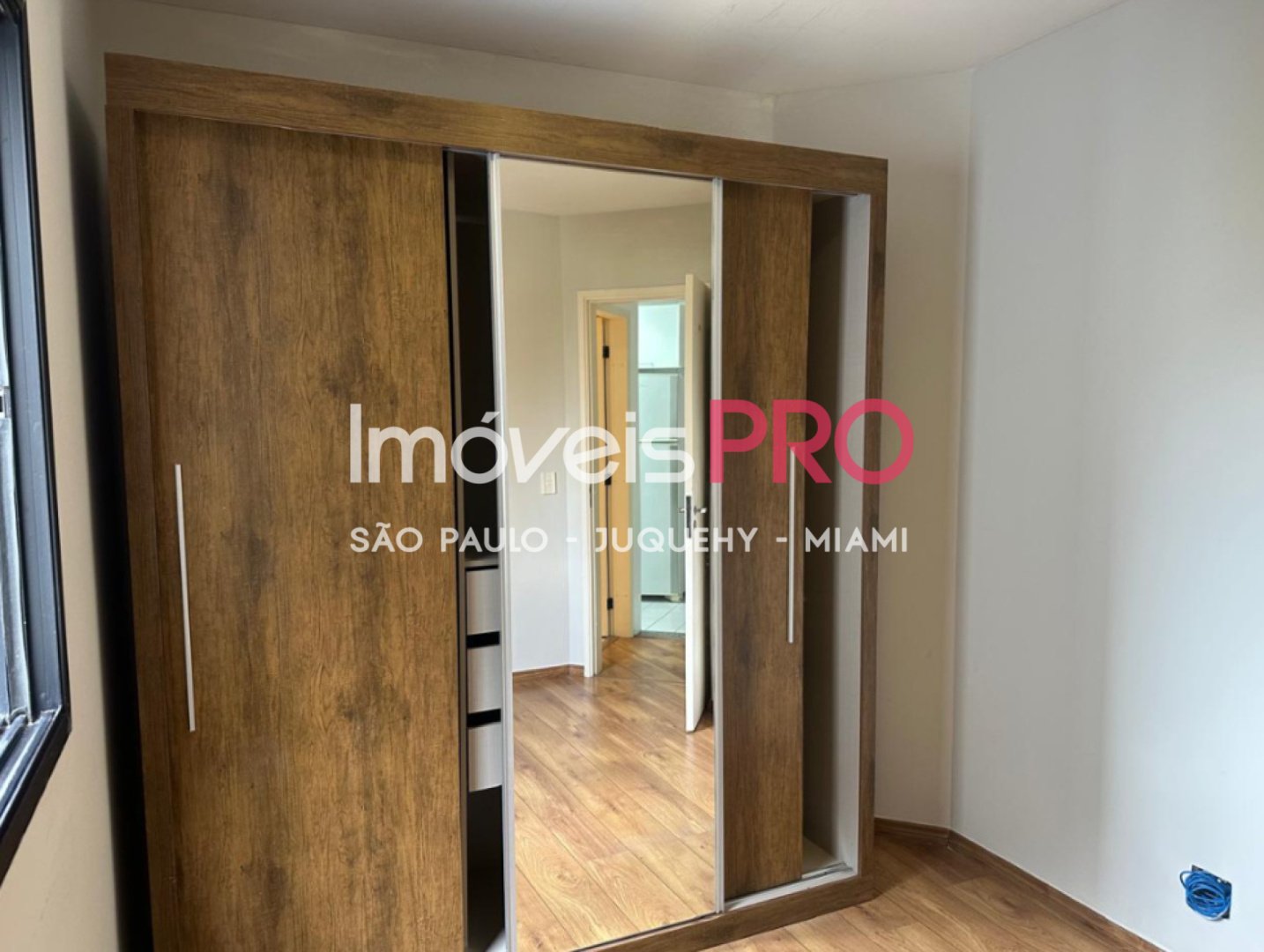 Foto :: IP39840