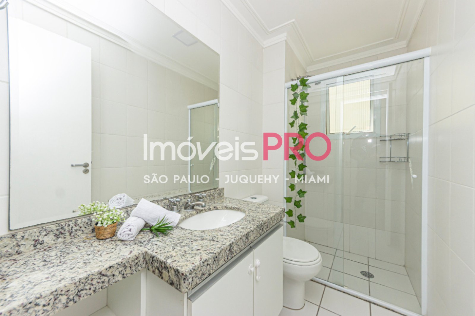 Foto :: IP39842