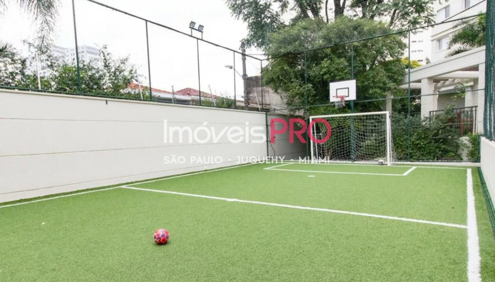 Foto :: IP39842
